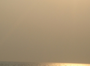 m_dsc01902